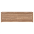 NPD Furniture Larson Entryway Storage Bench in Terra Oak