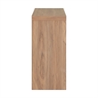 NPD Furniture Larson Cabinet 2 Doors in Terra Oak