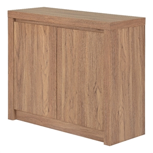 New Pacific Direct Larson Cabinet 2 Doors in Terra Oak