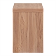 NPD Furniture Larson Nightstand/Side Table in Terra Oak