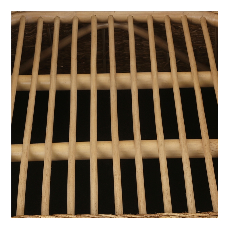 New Pacific Direct Earwyn Abaca Accent Arm Chair in Natural