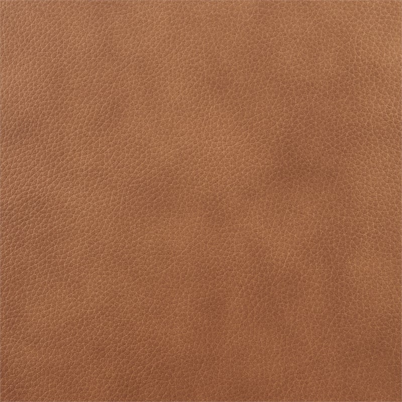 NPD Furniture Grandora Top Grain Leather Accent Arm Chair in Brown