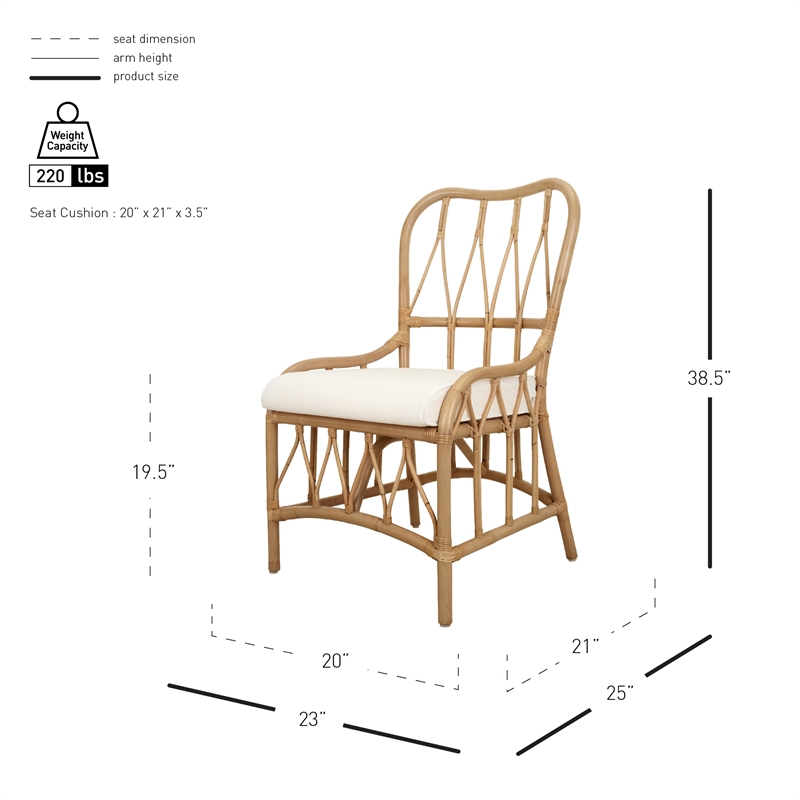 NPD Furniture Ayanna Rattan Dining Side Chair in Natural Wheat