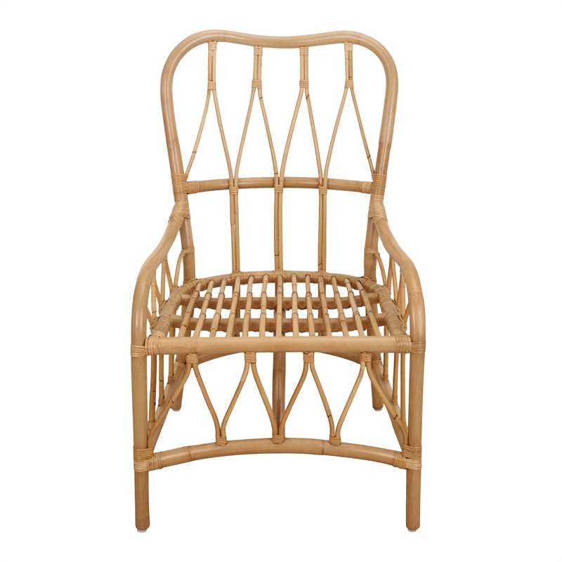 NPD Furniture Ayanna Rattan Dining Side Chair in Natural Wheat