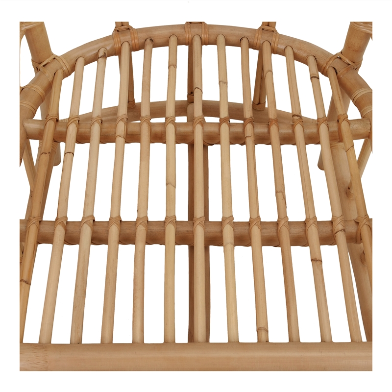NPD Furniture Ayanna Rattan Dining Side Chair in Natural Wheat