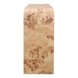 NPD Furniture Veyra Burl 2in Wood Drawer Console Table in Natural Burl