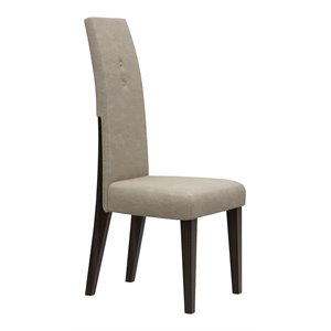 Titan Furnishings 46&quot Modern Lacquer Wood Dining Chair in Brown Wenge
