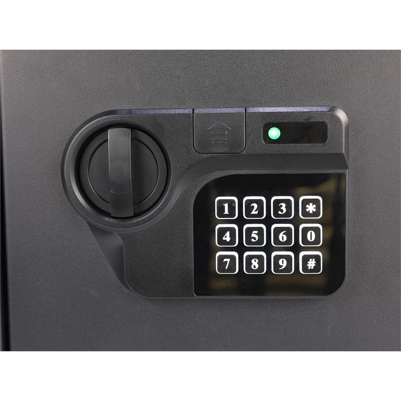 HOMESECURE Fireproof Personal Document and Firearm Safe