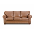American Furniture Classics Vegan Leather Rolled Arm Sleeper Sofa