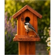 American Furniture Classics Small Solid Red Cedar Birdhouse Planter Stand for Songbirds