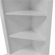OS Home and Office  Furniture Corner White Kitchen Cabinet