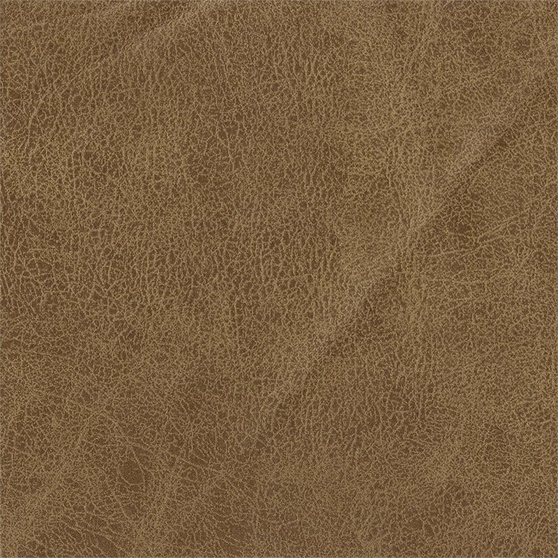 HomePop Transitional Wood and Faux Leather Barrel Accent Chair in Brown