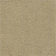 HomePop Cinch Traditional Fabric Storage Ottoman with Nailheads in Brown