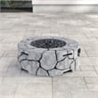Living Source International 31