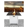Living Source International 25'' H x 30'' W Steel Outdoor Fire Pit white