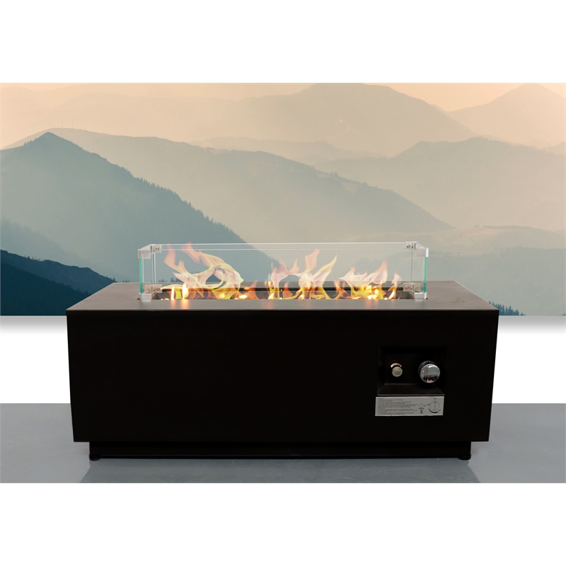 LSI 16'' H x 42'' W Steel Outdoor Fire Pit Table with Lid