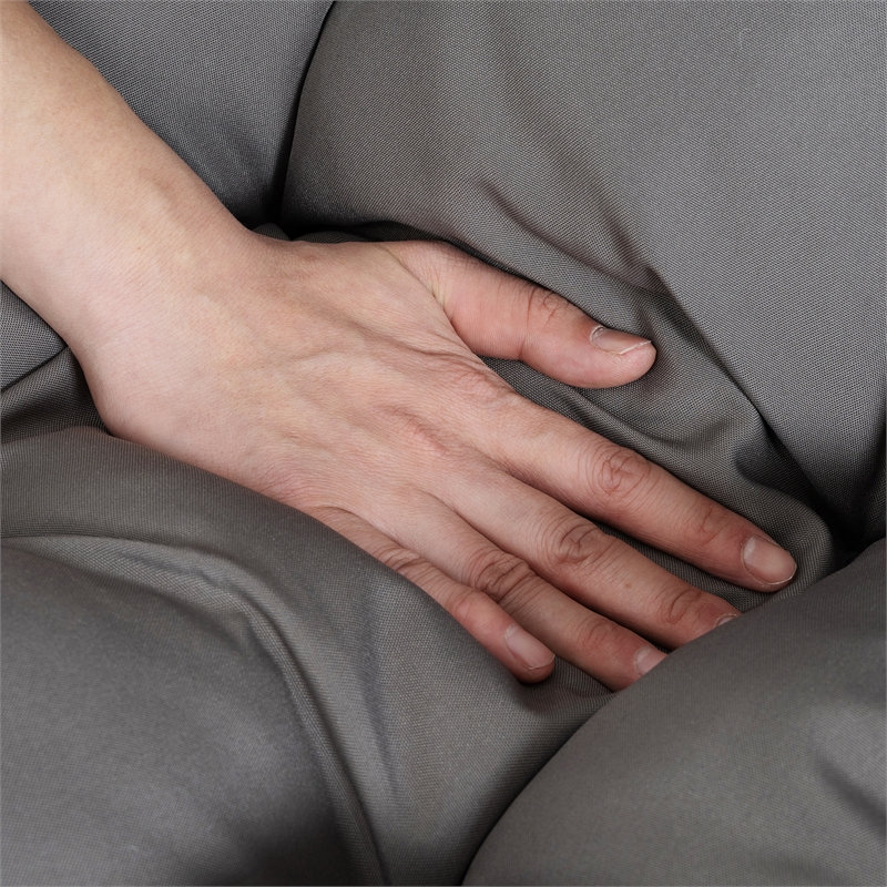 Gray Steel 2-Person Indoor Outdoor  Hanging Egg Chair with Stand