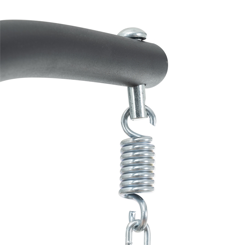 Blue Steel 2-Person Indoor Outdoor Wicker Hanging Egg Chair with Stand