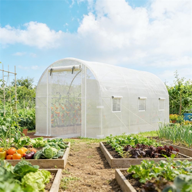 White Steel Walk-in Tunnel Greenhouse Hoop House