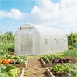 White Steel Walk-in Tunnel Greenhouse Hoop House