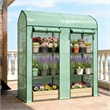 Green Steel Spacious Portable Mini Greenhouse