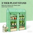 Green Steel Spacious Portable Mini Greenhouse