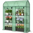 Green Steel Spacious Portable Mini Greenhouse