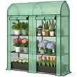 Green Steel Spacious Portable Mini Greenhouse