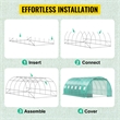 Green Steel Walk in Tunnel Greenhouse with 12 Roll up Windows