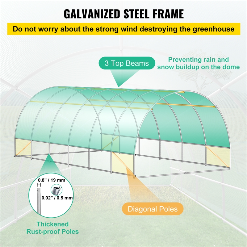 Green Steel Walk in Tunnel Greenhouse with 12 Roll up Windows