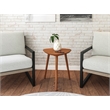 Mid Century Modern End Table Castahno Finish