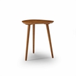Mid Century Modern End Table Castahno Finish