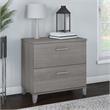 UrbanPro 2 Drawer Lateral File Cabinet in Platinum Gray - Engineered Wood