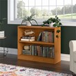 UrbanPro Small 2 Bookshelf Bookcase in Natural Cherry - Engineered Wood
