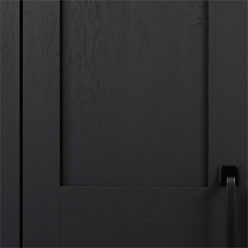 UrbanPro Engineered Wood 2-Door Storage Cabinet in Raven Oak