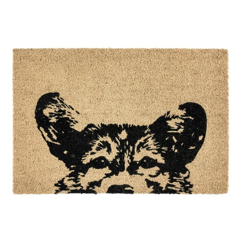 Kosas Home Sparky 24x36