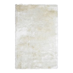 Kosas Home Collins 60x96&quot Polyester and Cotton Carter Shag Rug in Ivory