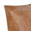 Kosas Home Cheyenne 16x36