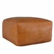 Kosas Home Cheyenne 24x24