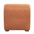 Classic Home Arcadia Autumn Brown Leather Accent Chair with Round Legs