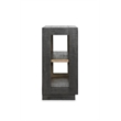 Classic Home Larson 2-Door Glass Reclaimed Pine Wood Cabinet in Black