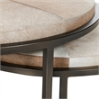 Classic Home Hayword Hide Set of 2 Metal Nesting Coffee Tables in Sparrow Gray