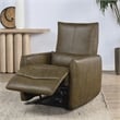 Classic Home Thaya Leather Power Recliner Chair in Earth Brown