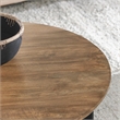 Kosas Home Penelope Mango Wood Two-Tone Coffee Table in Black