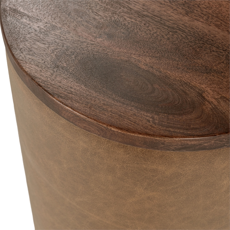 Classic Home Andra Mango Wood Leather Wrap Accent End Table in Chestnut