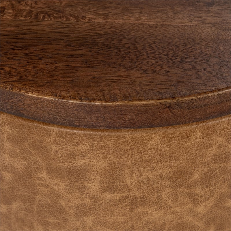 Classic Home Andra Mango Wood Top Leather Wrap Accent End Table in Tan