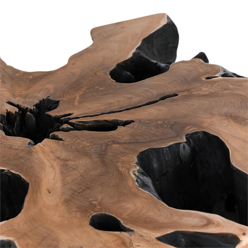 Classic Concepts Cypress Root 40