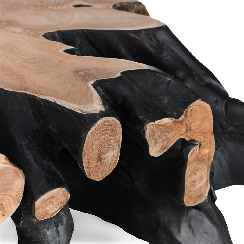 Classic Concepts Cypress Root 40