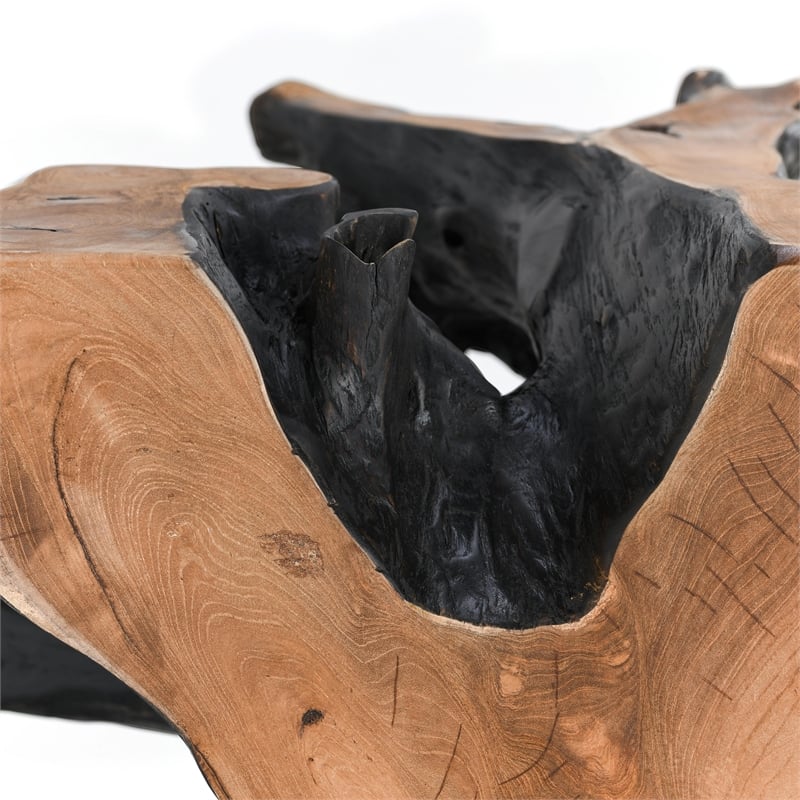 Classic Concepts Cypress Root 40