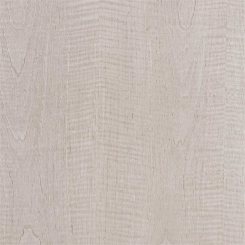 Michael Amini Marin 82